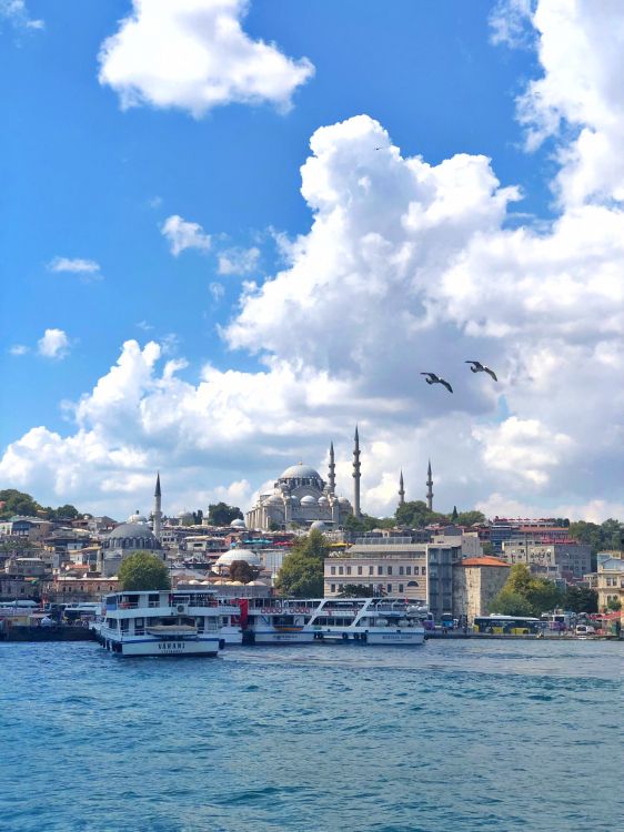 Turquie, Istanbul, Eau, Voie Navigable, Motomarine. Wallpaper in 1536x2048 Resolution