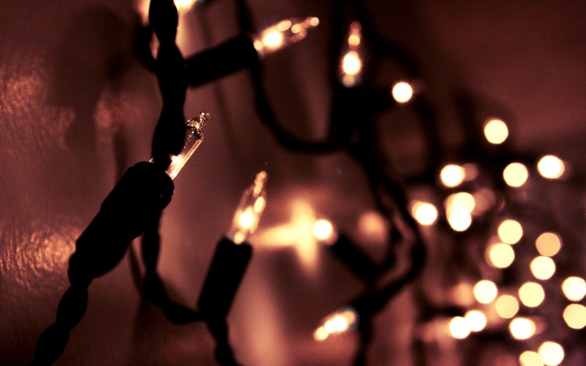 light, garland, lighting, night, event