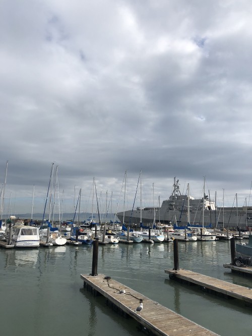 Image san francisco, marina, water, sailboat, body of water