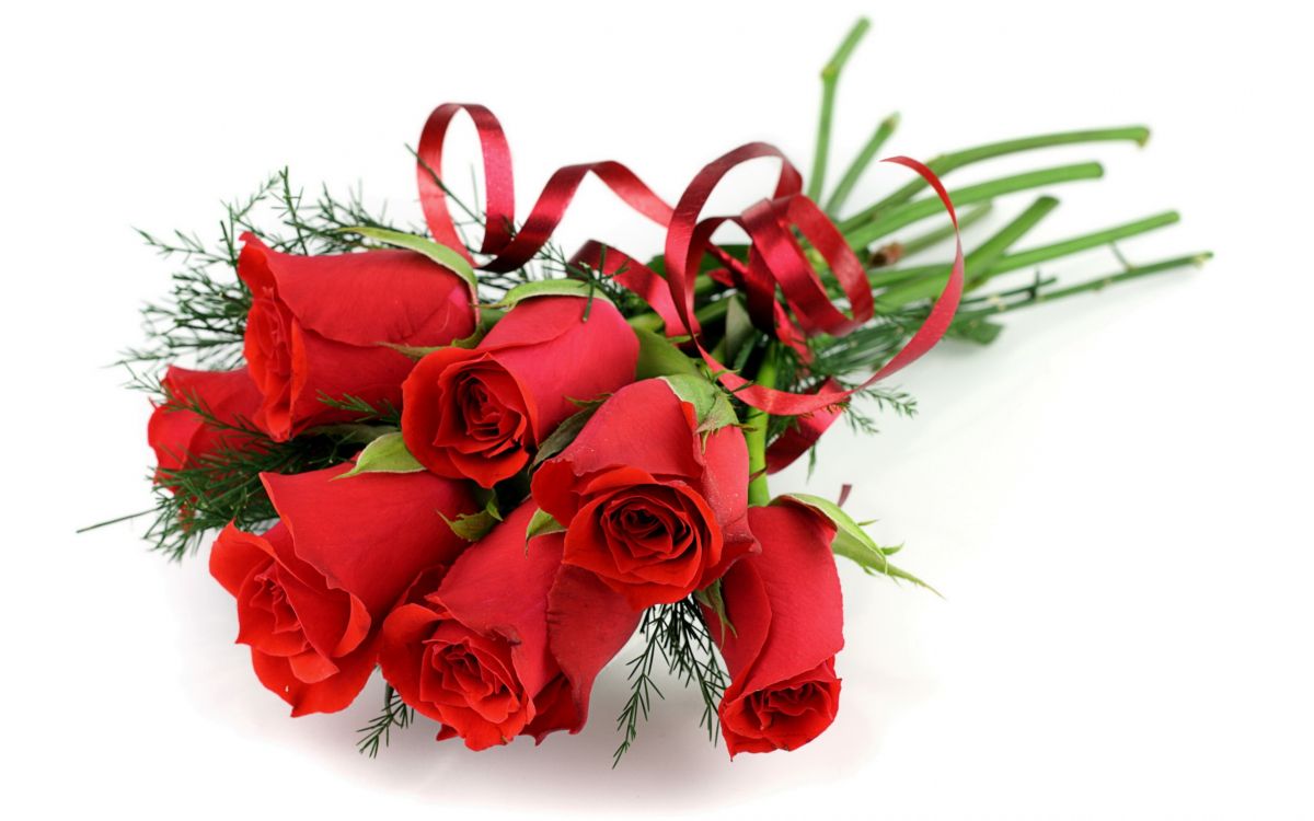 Rosas Rojas Sobre Textil Blanco. Wallpaper in 2560x1600 Resolution