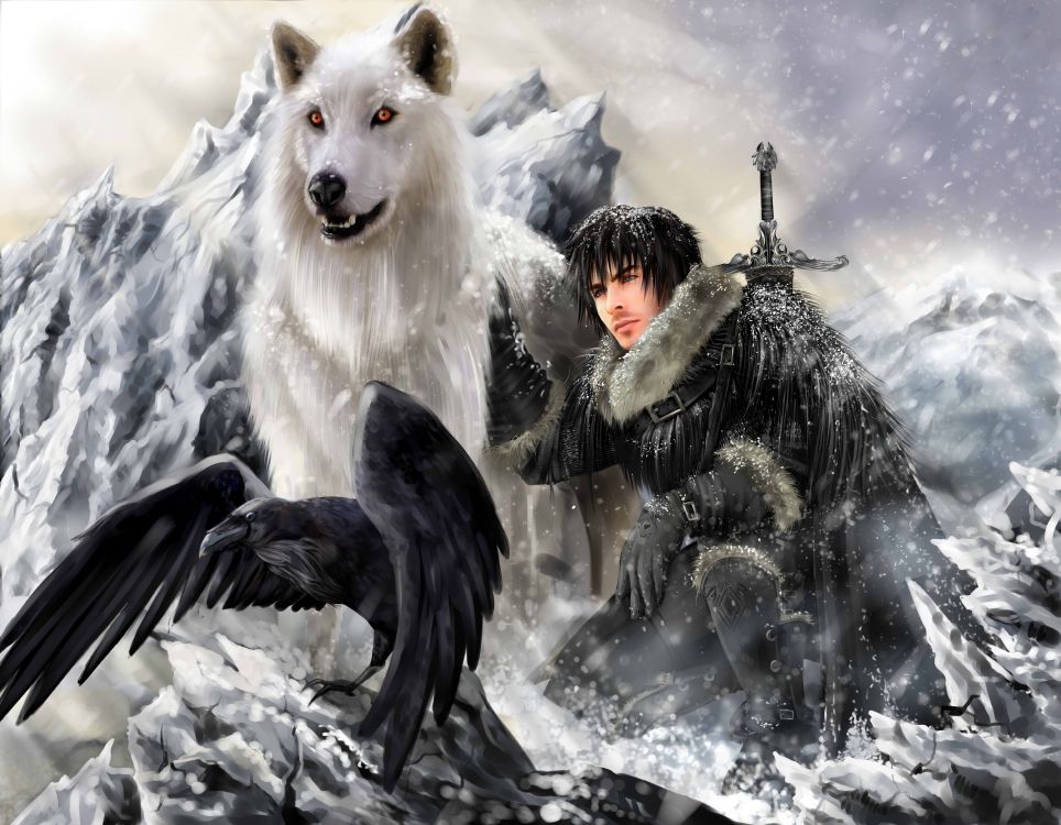 Lobo Blanco, En, Suelo Cubierto de Nieve. Wallpaper in 6000x4667 Resolution
