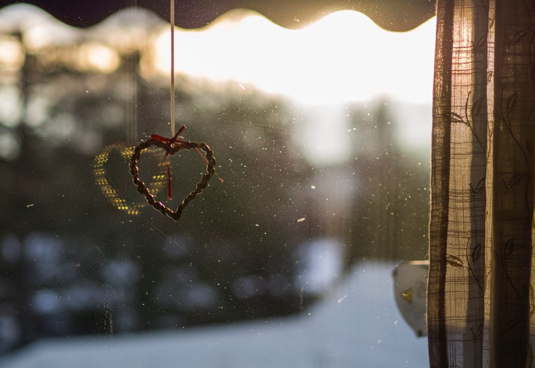 光, 早上, 阳光, 蜘蛛网, 树枝 壁纸 4164x2860 允许