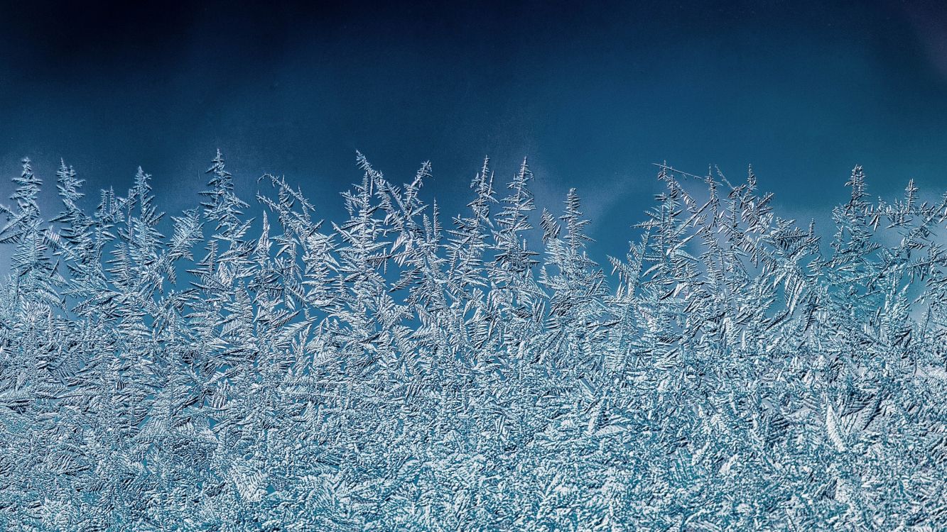 Winter, Illustration, Azure, Zweig, Naturlandschaft. Wallpaper in 3200x1800 Resolution