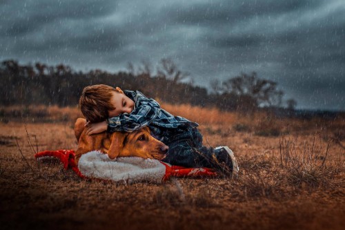 Image grass, ecoregion, tree, fun, rain boy dog