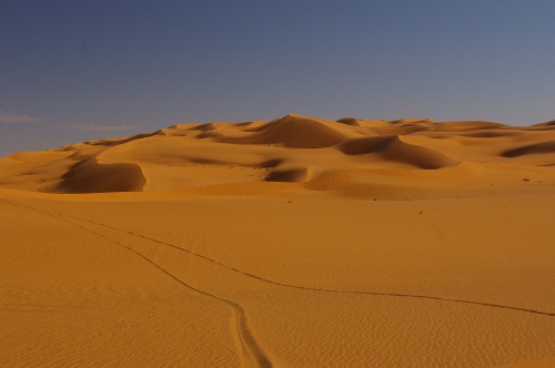 Image desert under blue sky during daytime