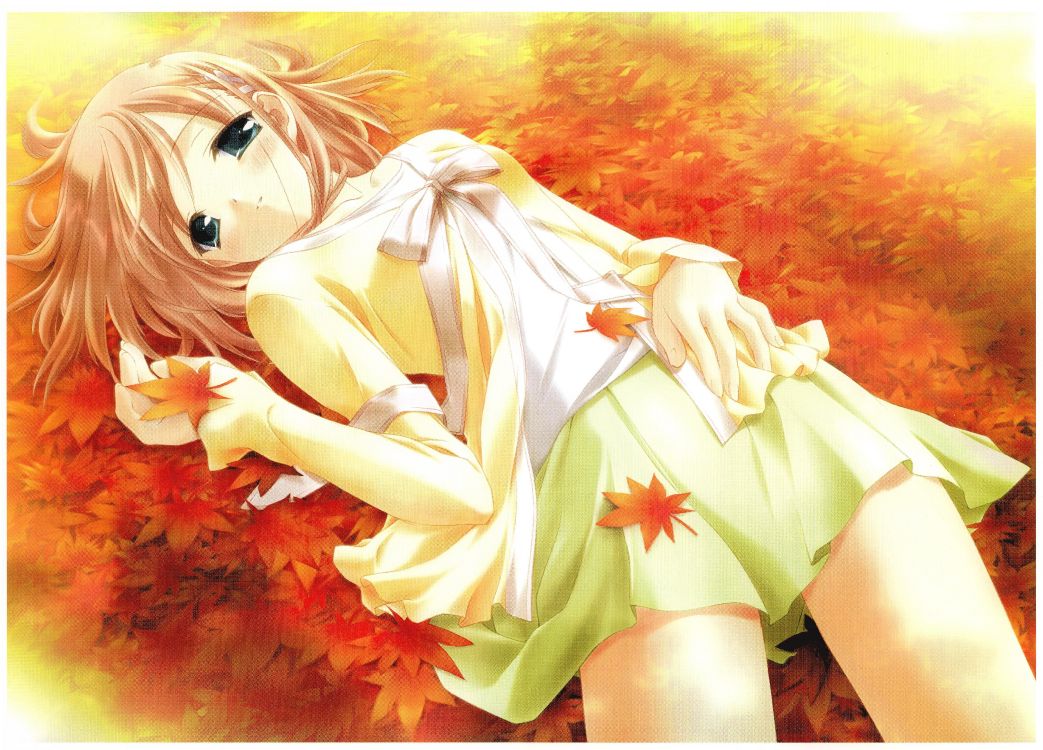 Femme en Robe Blanche Allongée Sur la Peinture de Fleurs Rouges. Wallpaper in 4884x3510 Resolution