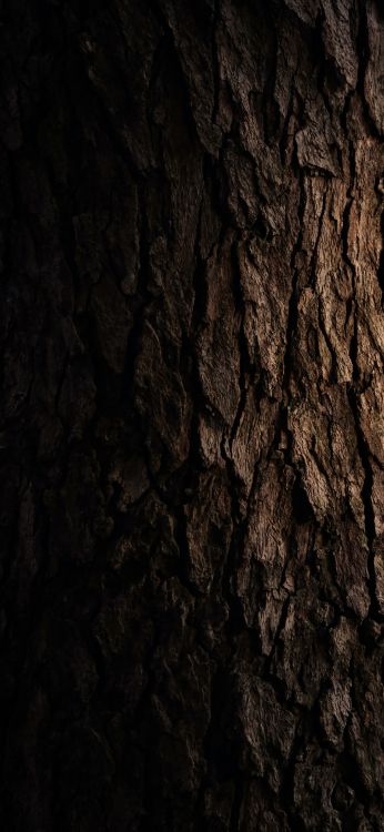 Formation, Écorce, Texture, Brown, de Teintes et de Nuances. Wallpaper in 1080x2340 Resolution