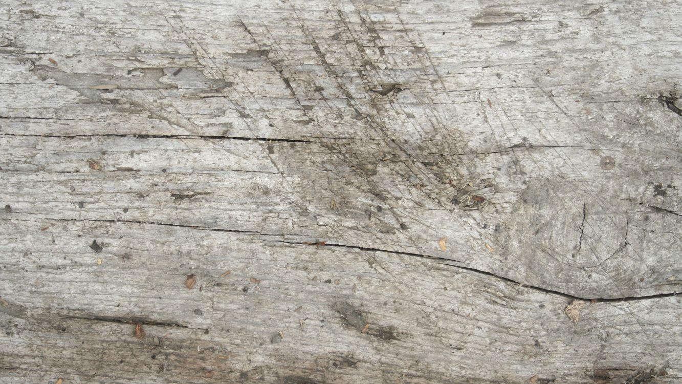 Surface en Bois Marron et Noir. Wallpaper in 2560x1440 Resolution