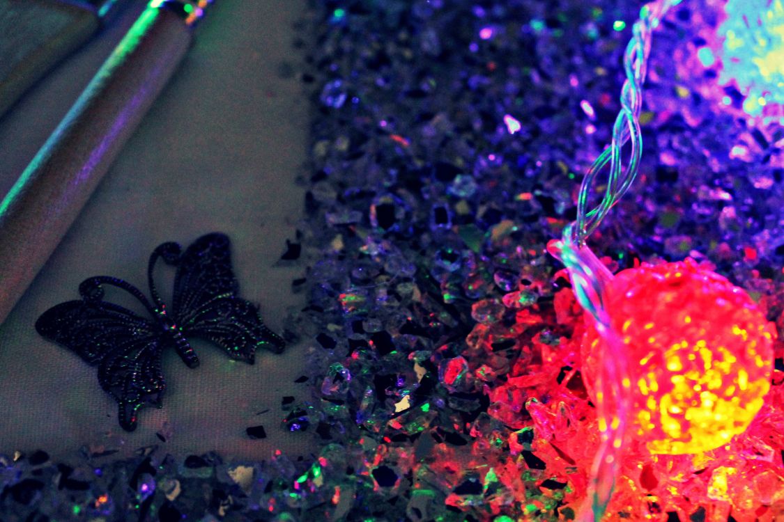 Lumière, Purple, Violette, M Papillon, Macro. Wallpaper in 2256x1504 Resolution