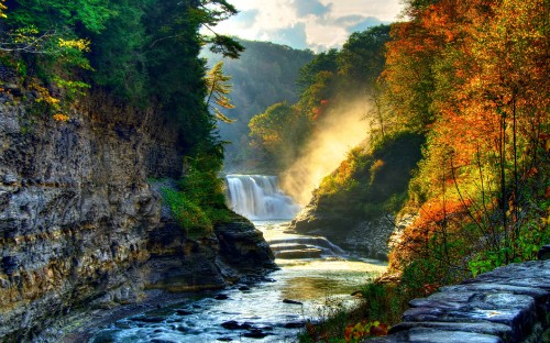 Image waterfalls in the middle of green trees