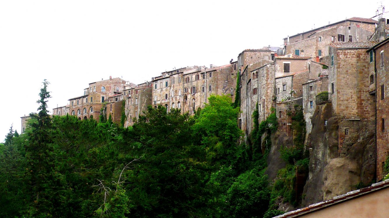 brown concrete building on top of green trees during daytime