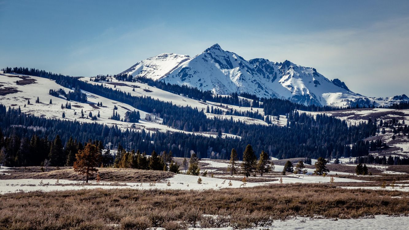 winter, mountain, cloud, plant, snow