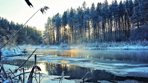Image body of water near trees during daytime