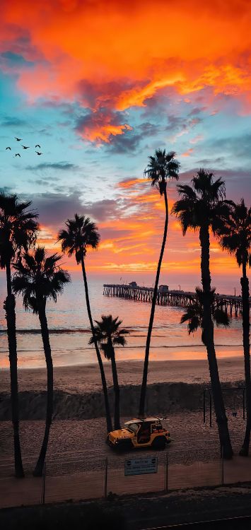 Afterglow, Agua, Naturaleza, Entorno Natural, Playa. Wallpaper in 1420x3000 Resolution