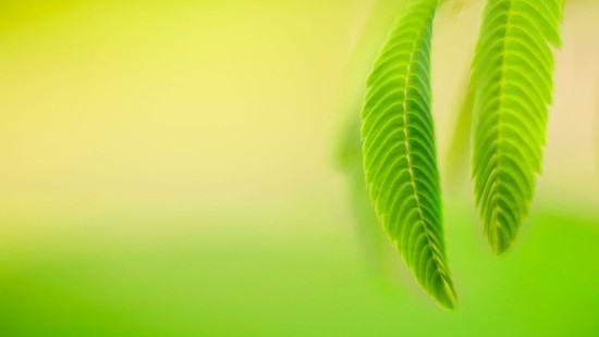 fondo de windows 8 1080p