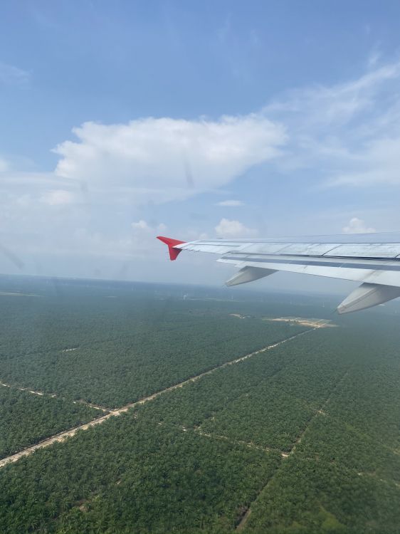 空中旅行, 航班, 气氛, 航空, 翼 壁纸 1536x2048 允许