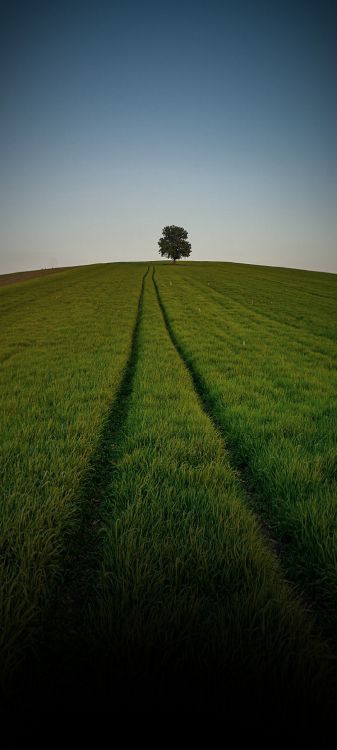 Paisaje Natural, Terreno, La Gente en la Naturaleza, la Vegetación, Agricultura. Wallpaper in 1080x2400 Resolution