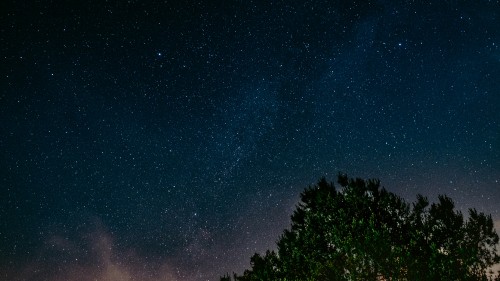 Image green trees under blue sky during night time