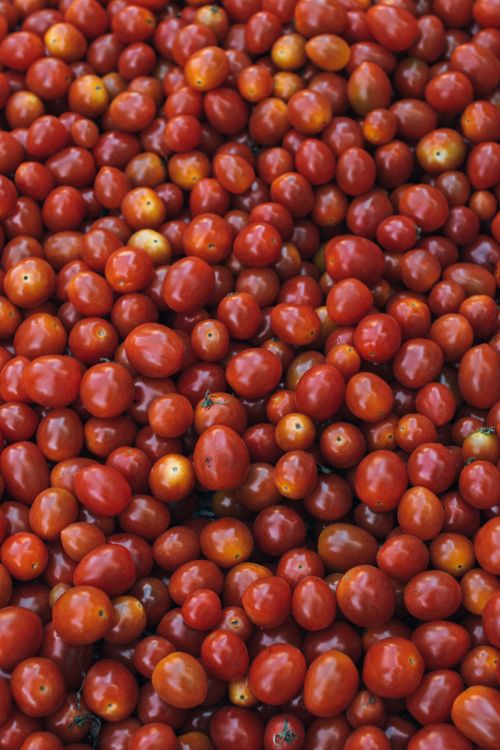 Frutos Rojos Redondos Sobre Placa de Cerámica Blanca. Wallpaper in 4000x6000 Resolution