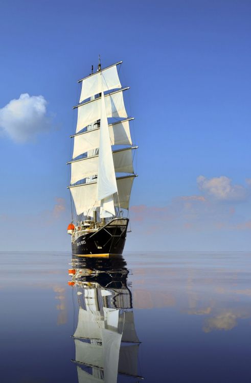 black and white sail ship on sea under blue sky during daytime