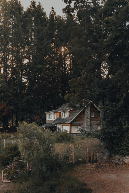 Image forest, house, home, tree, building