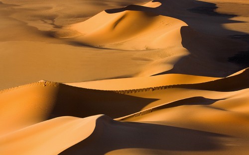 Image desert under blue sky during daytime