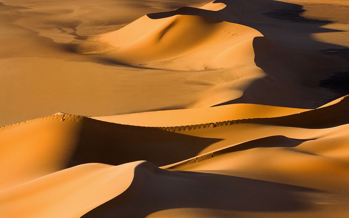 desert under blue sky during daytime