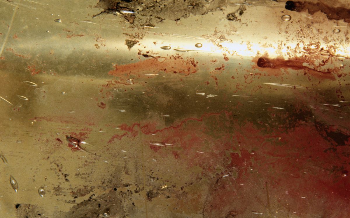 生锈, 纹理, 的土壤 壁纸 2560x1600 允许