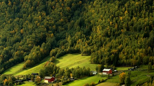 Image green grass field and trees