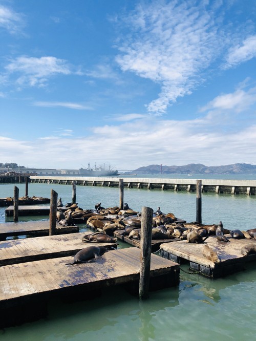 Image pier, san francisco, sea, water, cloud