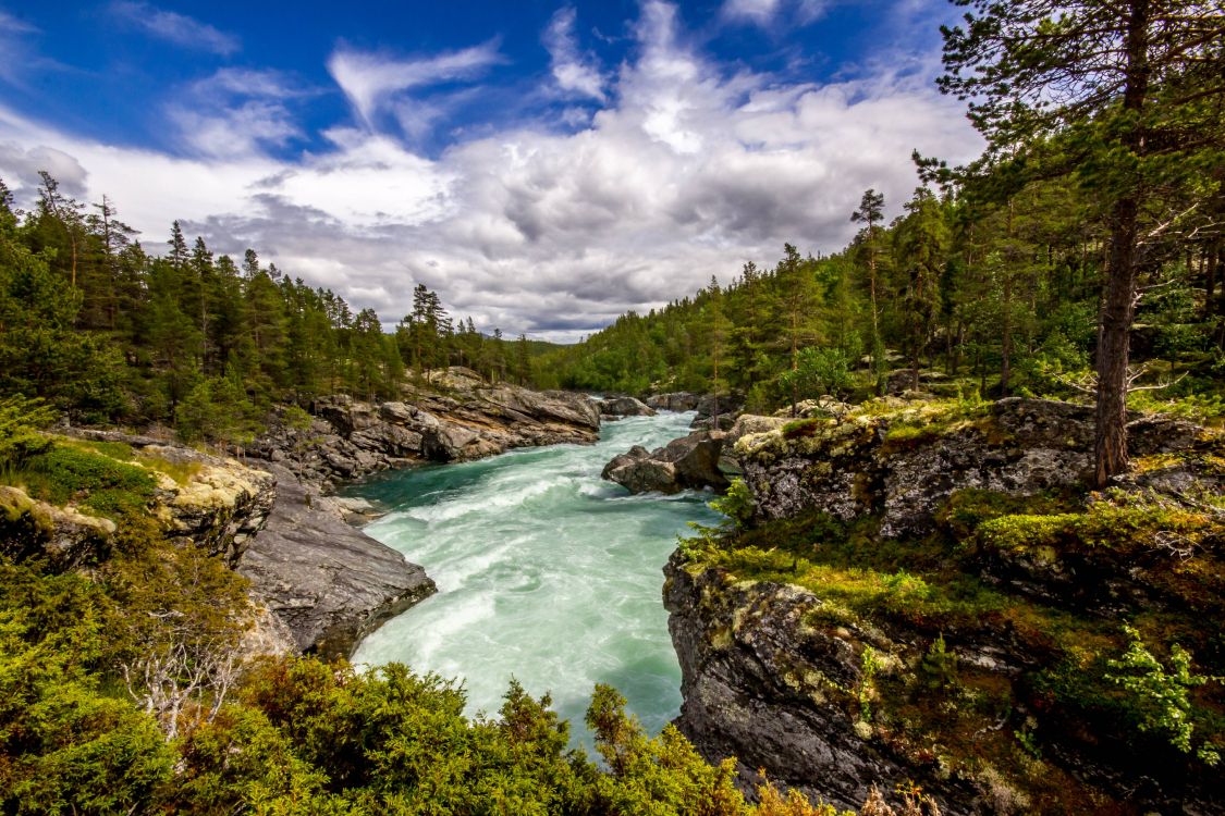 Grüne Bäume Neben Dem Fluss Unter Blauem Himmel Tagsüber. Wallpaper in 5184x3456 Resolution