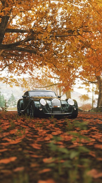Schwarzer Oldtimer Auf Brauner Und Grüner Wiese Tagsüber. Wallpaper in 2160x3840 Resolution