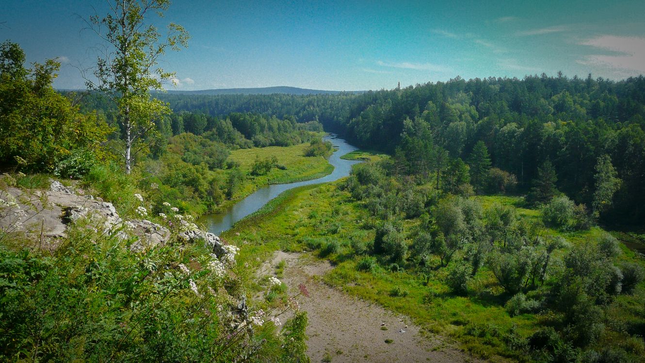 green trees and river during daytime