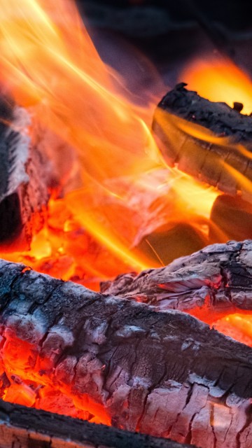 Image burning wood on fire pit