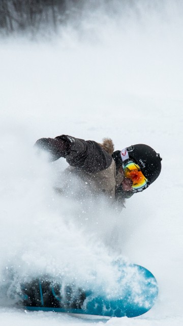 Image brown short coated dog playing on snow