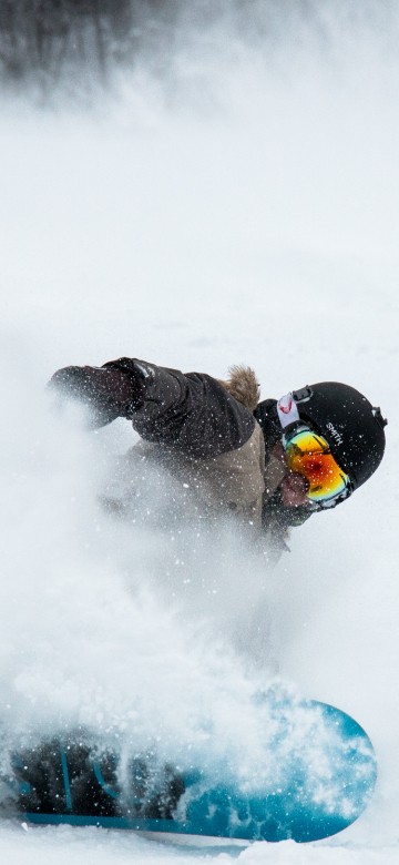 Image brown short coated dog playing on snow