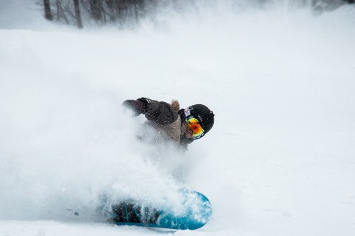 Image brown short coated dog playing on snow