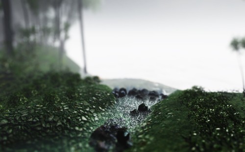 Image green moss on rock near body of water during daytime