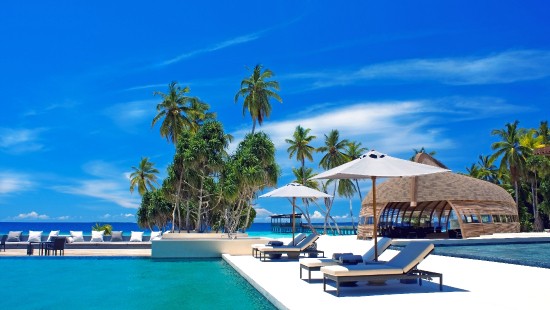 Image white and brown beach umbrellas on blue body of water during daytime