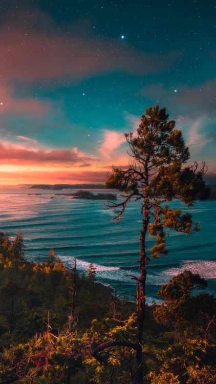 Nature, Cloud, Water, Atmosphere, Ecoregion. Wallpaper in 760x1350 Resolution