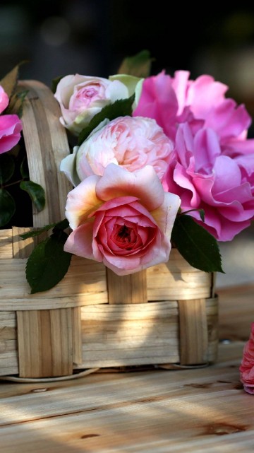 Image pink roses on brown wooden crate