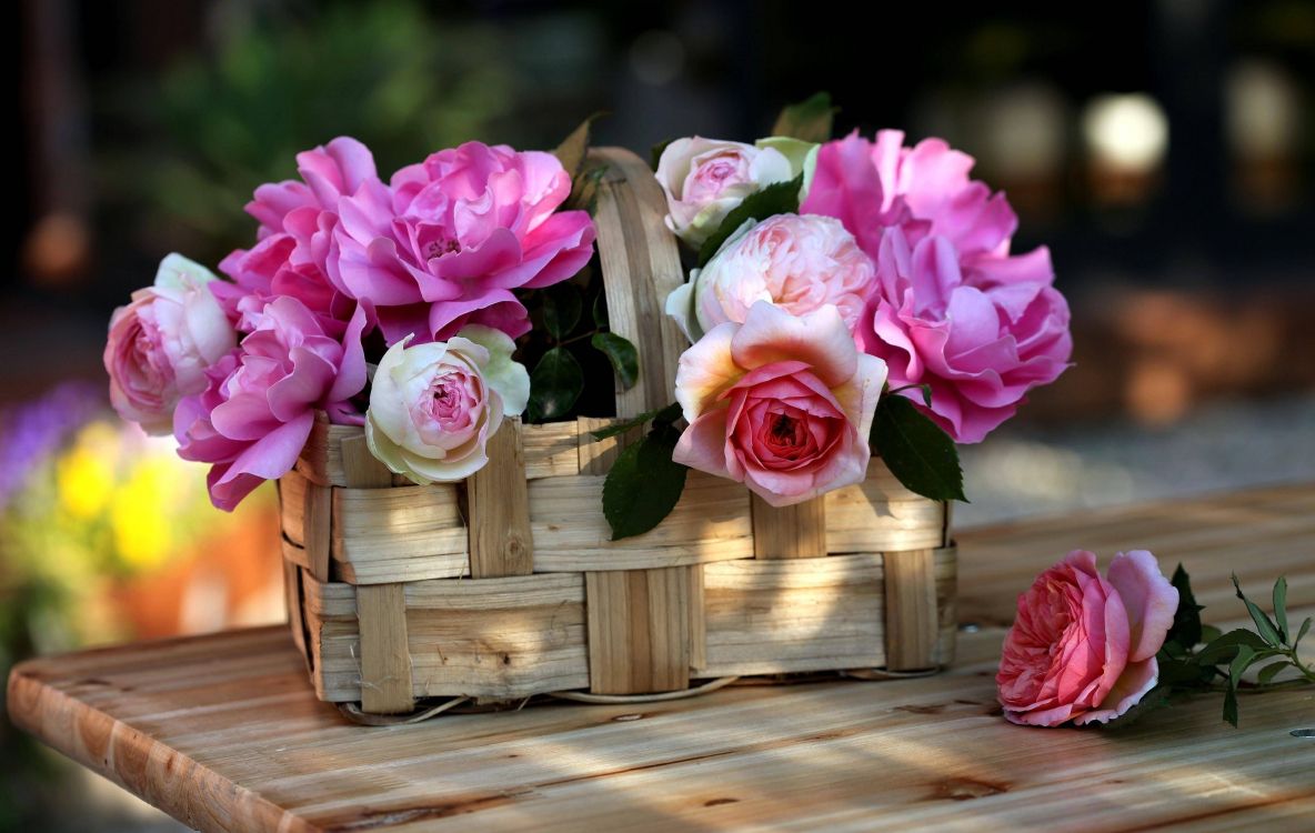 pink roses on brown wooden crate