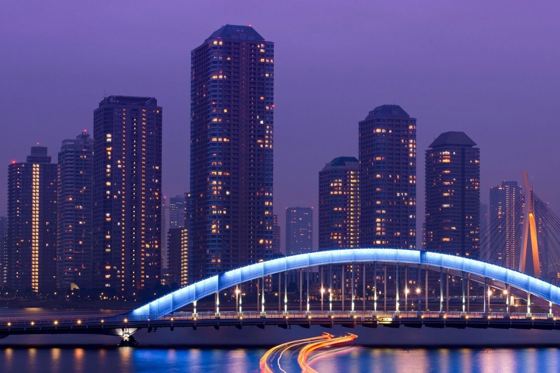 lighted bridge near high rise buildings during night time