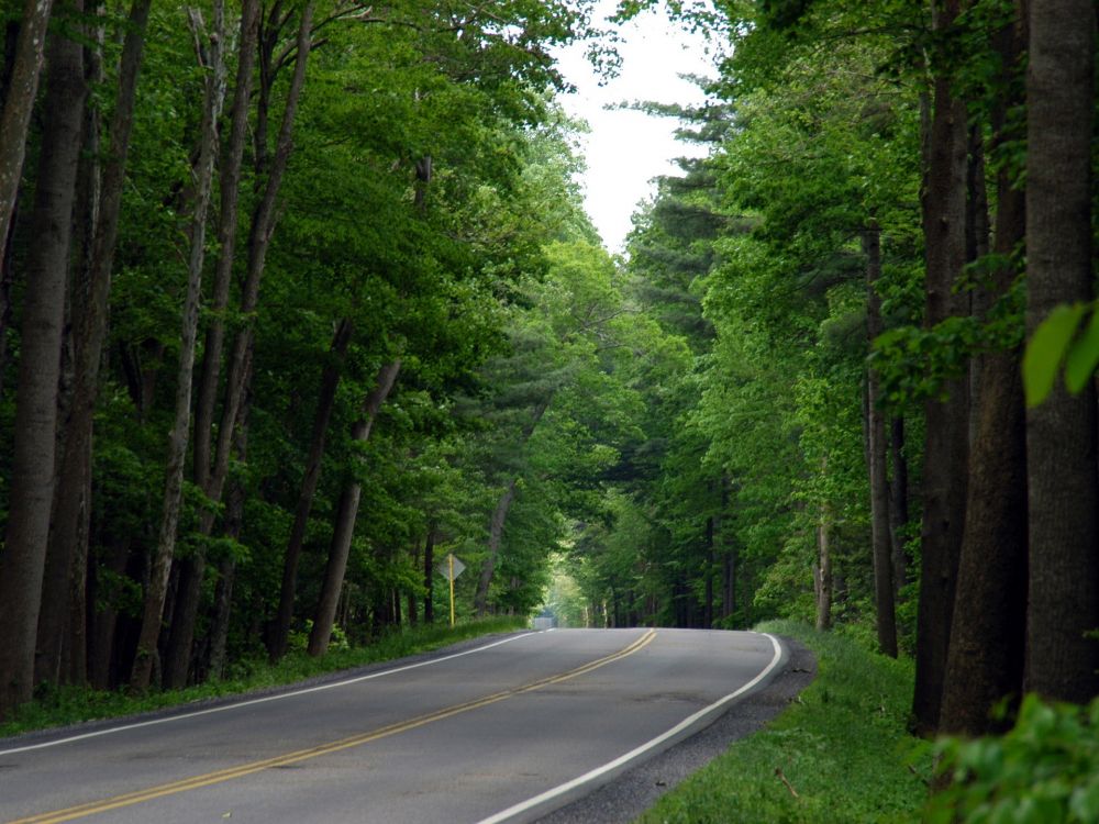 Gray Concrete Road Between Green Trees During Daytime. Wallpaper in 1920x1440 Resolution