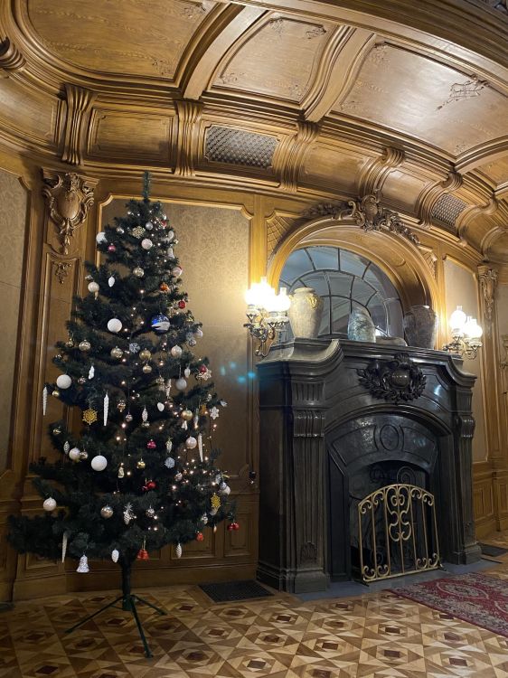 Weihnachtsbaum, Weihnachten, Etage, Innenarchitektur, Bodenbelag. Wallpaper in 1536x2048 Resolution