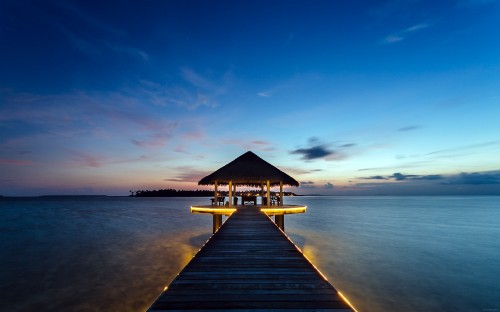 Image brown wooden dock on body of water during daytime