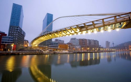 Image bridge over water near city buildings during night time