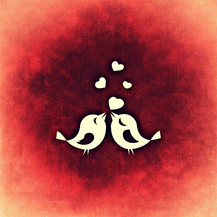 Valentines Tag, Anführungszeichen, Illustration, Kunst, Geschenk. Wallpaper in 2048x2048 Resolution