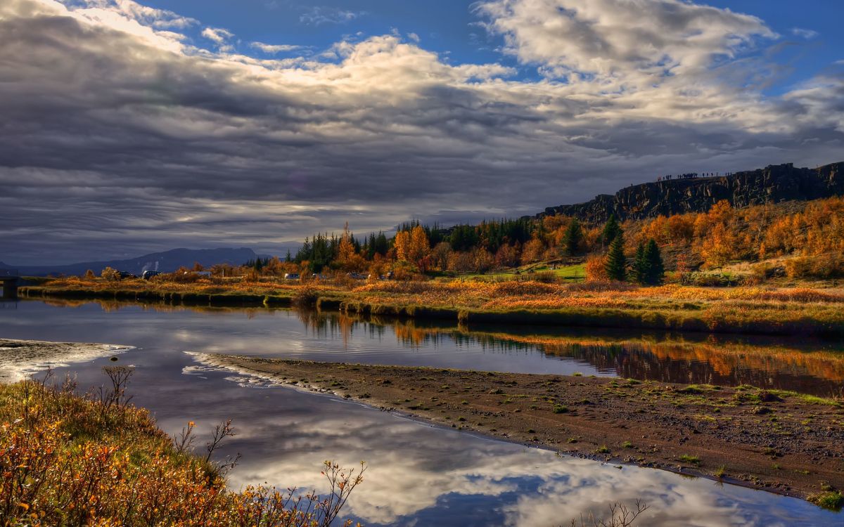 brown and green trees beside river under white clouds and blue sky during daytime