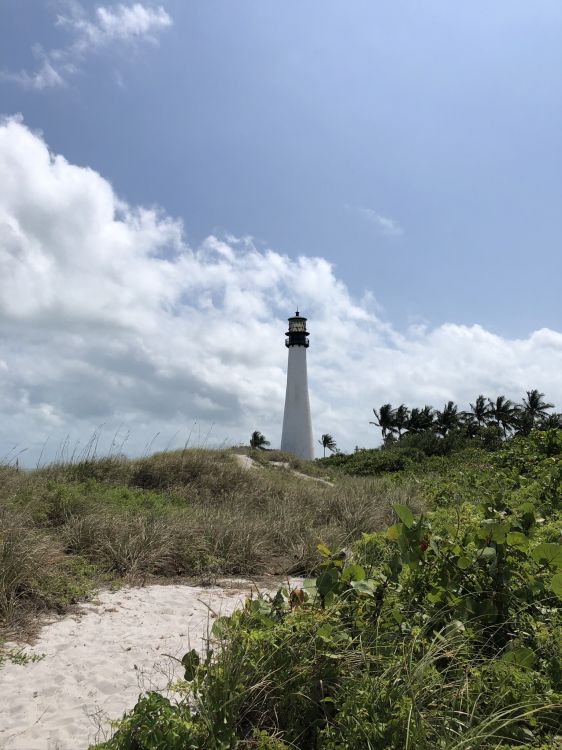 Leuchtturm, Vegetation, Pflanzen-Gemeinschaft, Tower, Ökoregion. Wallpaper in 1536x2048 Resolution
